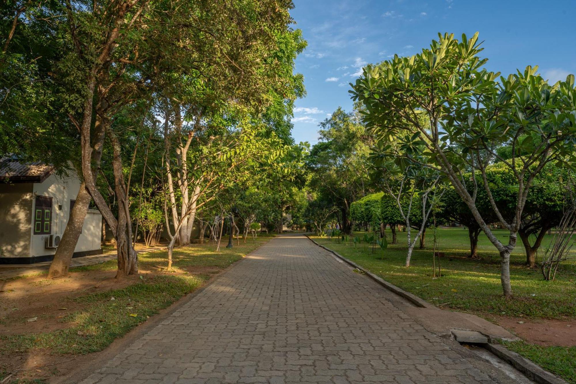 Oak Ray Elephant Lake Σιγκιρίγια Εξωτερικό φωτογραφία
